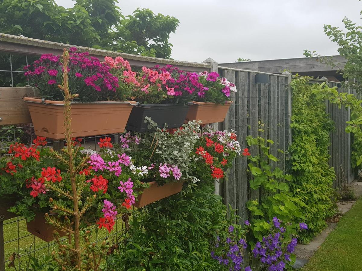 B&B Welkom זיריקזיי מראה חיצוני תמונה