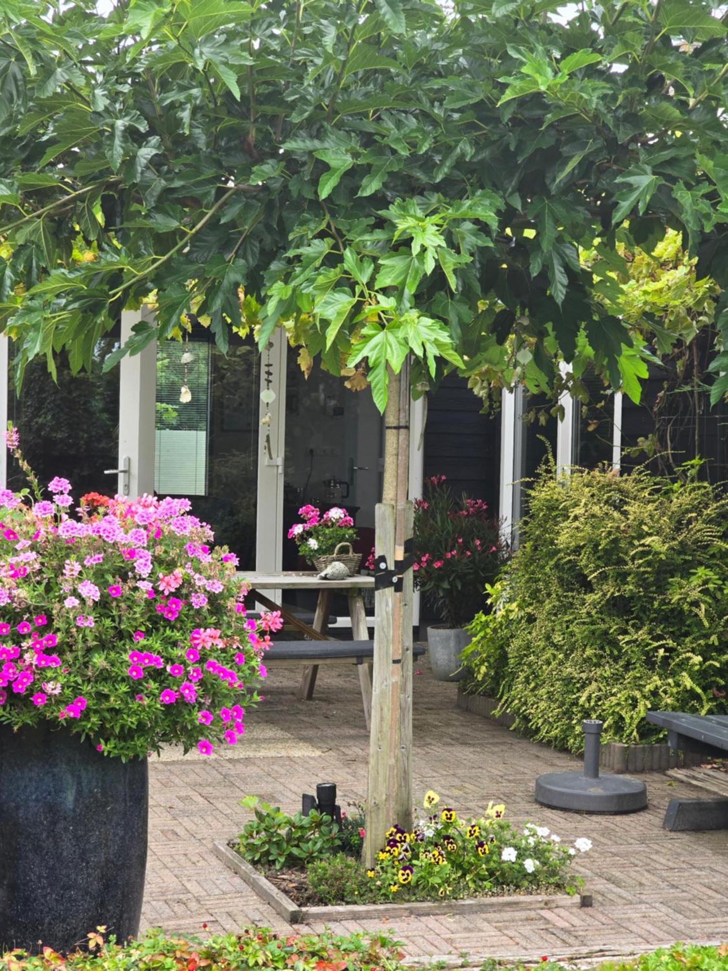 B&B Welkom זיריקזיי מראה חיצוני תמונה