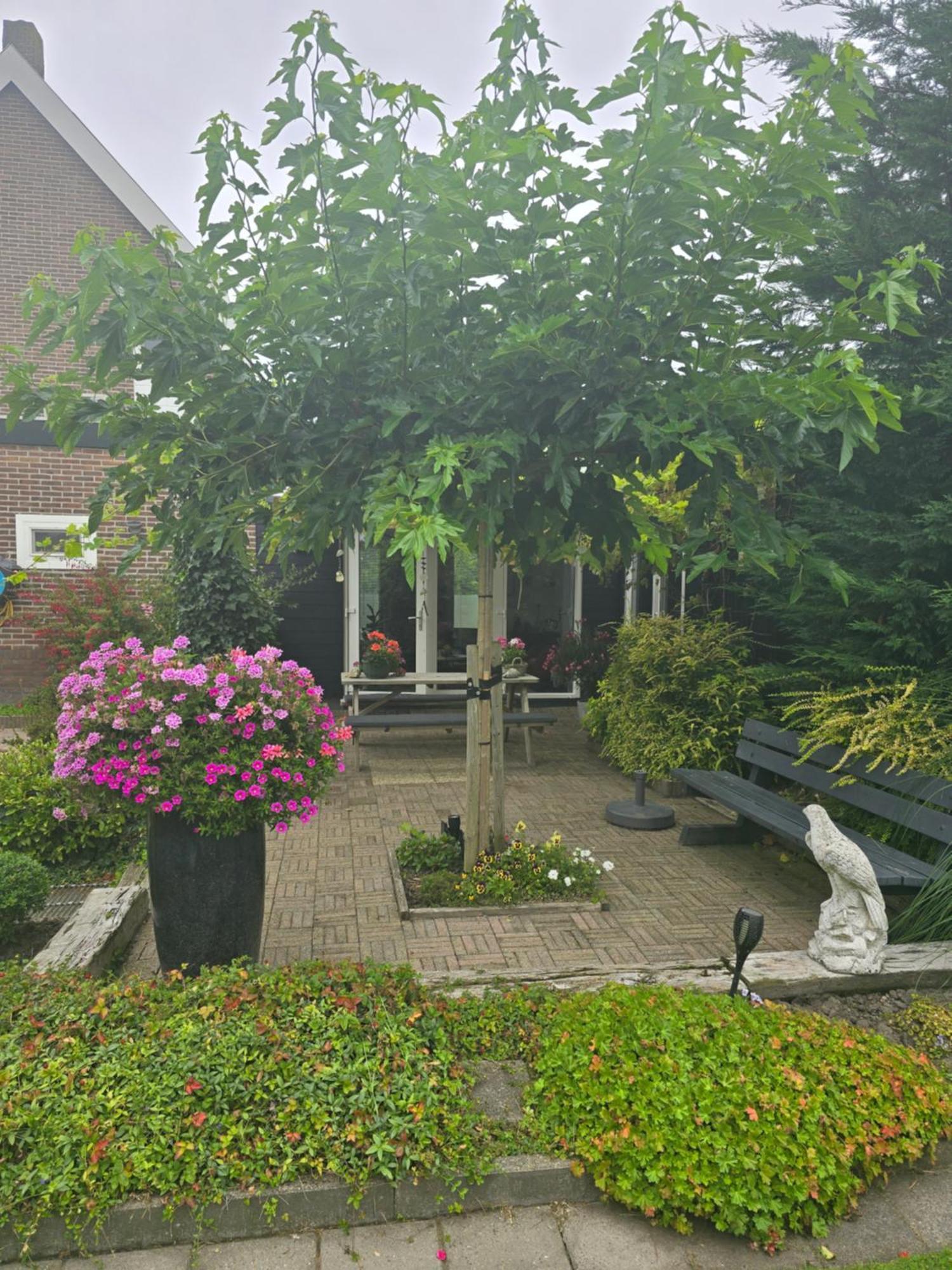 B&B Welkom זיריקזיי מראה חיצוני תמונה